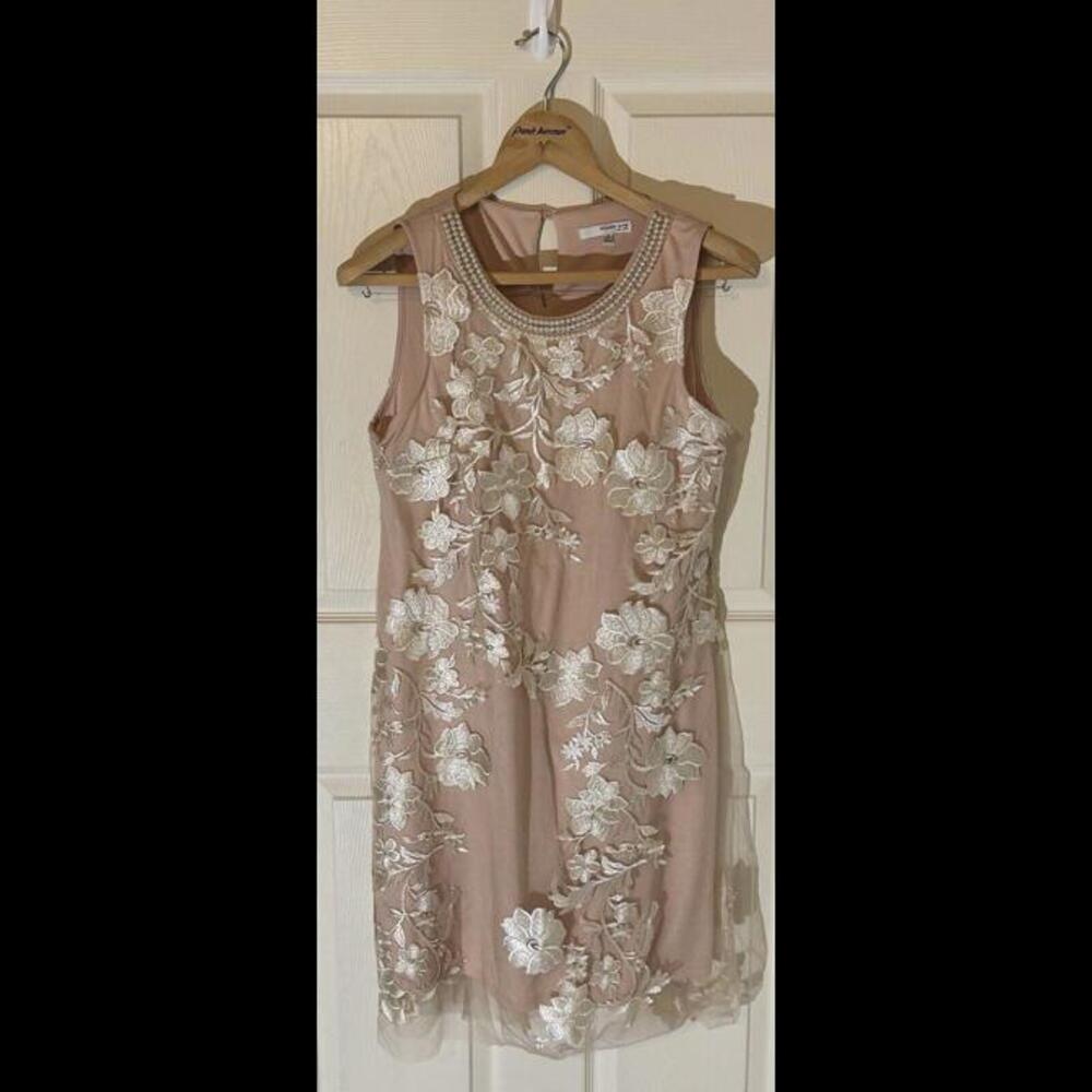Studio One Of New York Women’s Blush Sheer Overlay Embroidered Dress Size 12